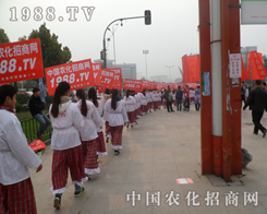 ɽ�|��(j��)��ֲ����(hu��)���зN����