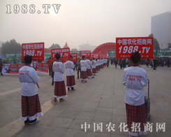 2013ɽ�|ֲ����(hu��)��С���(y��ng)����Ź��