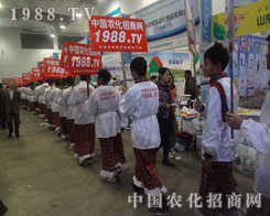 ����Ƿ���2013��19��ɽ�|ֲ����