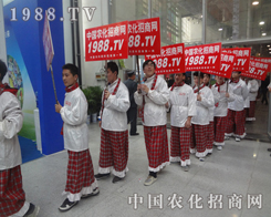 2013��(j��)��ֲ������̎���ǡ�С��ꖡ�