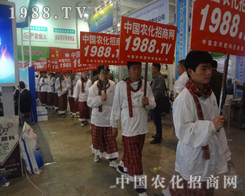 2013ɽ�|ֲ�����ϟo̎���ڵ�С�۷䂃