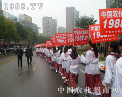 2013��(j��)��ֲ�������ڡ�С��ꖡ��Ĺ�â