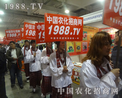 2013ɽ�|ֲ�����ו���С����W���ǈ�