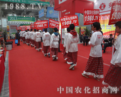 2013����ֲ��չ�[������������Ӣ���@�ĸ��⳯��