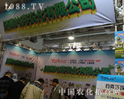 ��(j��)�ϼs�˳�ϯ��19��ɽ�|ֲ����