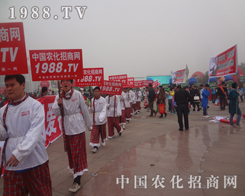 �r(n��ng)�����È�(zh��)������2013ɽ�|ֲ����