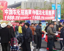 2013ֲ����(hu��)�����r(n��ng)������Ч����(qi��ng)