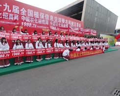 ��29��ֲ����(hu��)���r(n��ng)���W(w��ng)��(qi��ng)�ݚw��