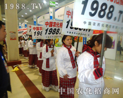 2013�ʝ��r�Y���r���W���P����