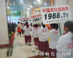 �r(n��ng)���W(w��ng)�ľ�����ɽ�|�ʝ��r(n��ng)������ò睿����˂�������