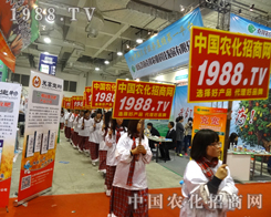 �r(n��ng)���W(w��ng)ͦ�M(j��n)��(j��)��ֲ����(hu��)