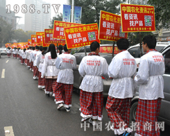 �r(n��ng)���W(w��ng)�e�O����2014ɽ�|ֲ����