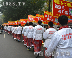 2014ɽ�|ֲ�������_��Ļ �r(n��ng)���W(w��ng)�F(xi��n)������