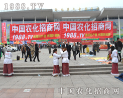 ��С���(y��ng)����F��������2014��(j��)��ֲ����(hu��)