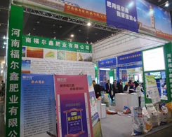 �����ηʘI(y��)�ڵ�11����ԭ�����p�����õ�ٝ�P(y��ng)