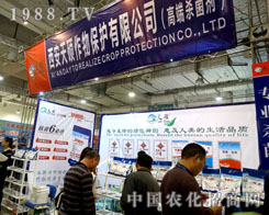 ������T�����������21��ɽ�|ֲ����