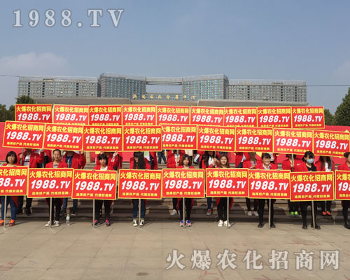 r(nng)Ӣ2016ɽ|ֲוȫƴ