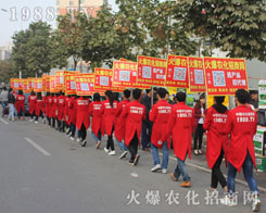 2016ɽ|ֲp1988.TVŬƴ^ǰ