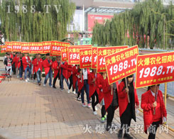 2016ɽ|ֲו1988.TVȫԸ