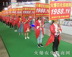 ���r(n��ng)���W(w��ng)�F(tu��n)�Y(ji��)һ�y�ֲ�������2018�����r(n��ng)�Y���[��(hu��)��