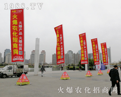 2019ϴֲ(hu)r(nng)W(wng)P(yng)ķ