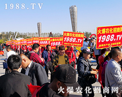 r(nng)̾W(wng)ʢb2019ʮLֲ