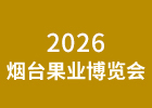 2026���_���I(y��)���[��