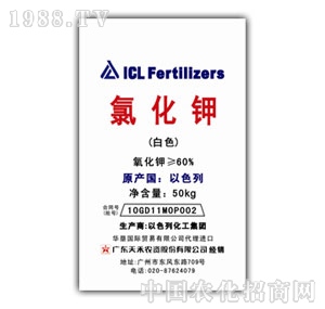 ���-�Ȼ��