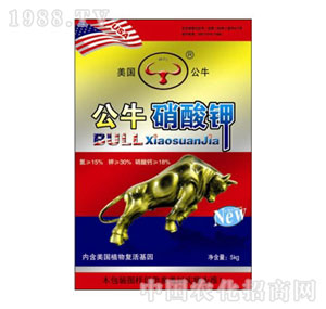 ��������-�����