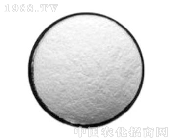 ����-�ٶ���