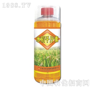 �f(w��n)�S�r(n��ng)��-ˮ��ǧ����