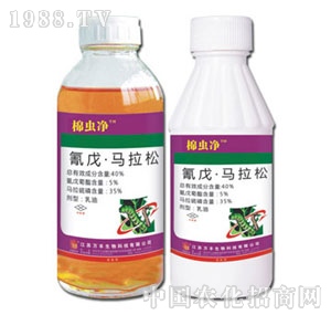 �f(w��n)�S�r(n��ng)��-���x��