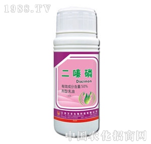 �f�S�r(n��ng)��-�����