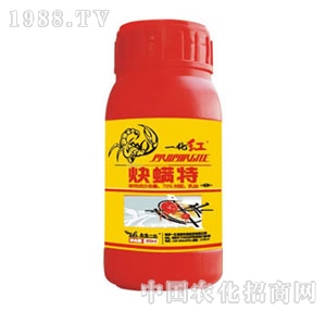 �Ͼ�һ��-һ���t