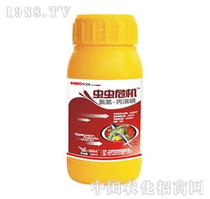 �Ͼ�һ��-���������