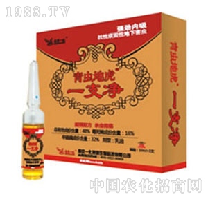 �Ͼ�һ��-һ֧��