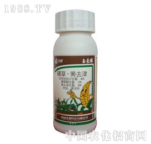 ���u�S��-�����