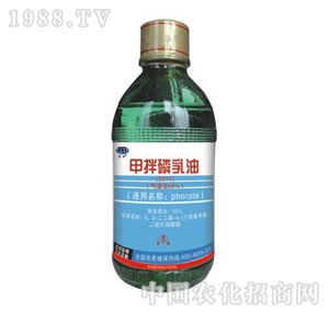 ��򸻰�����-�װ�������