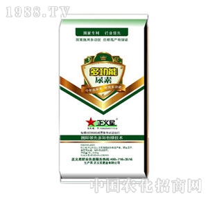 ���x��-�๦������