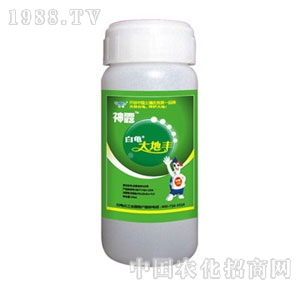 ����-��¶����S