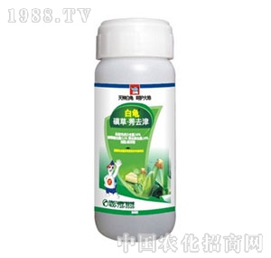 ����-�ǲ�ݬȥ��