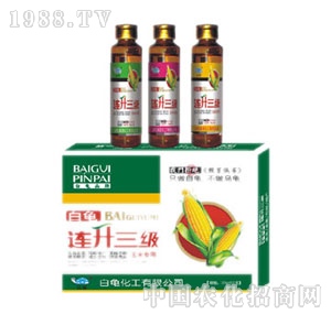 ����-�B������(j��)