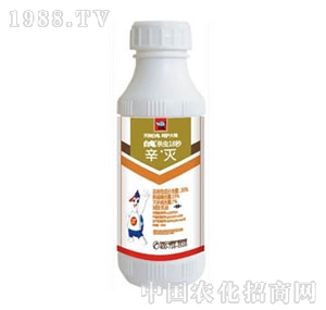 ����-���x(ch��ng)18��