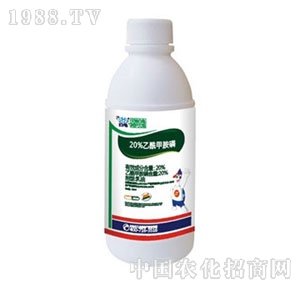 ����-�����װ���