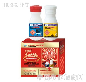 �����t�pϲ