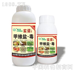 ���G�̌�-���Z1̖