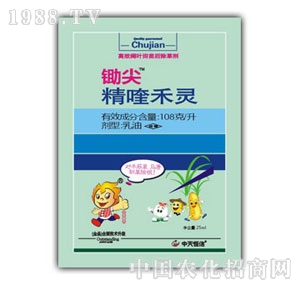 �������-�z��