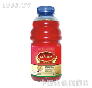 �������-�tɫ�ݿ�