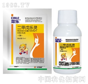 �������-�˘�(l��)