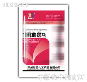 50%���r���i�}